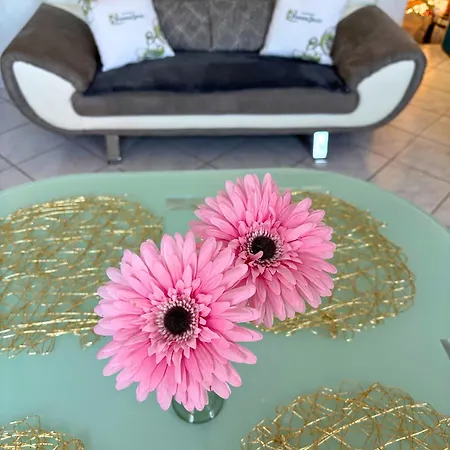 La Petalerie D'hotes Bed & Breakfast