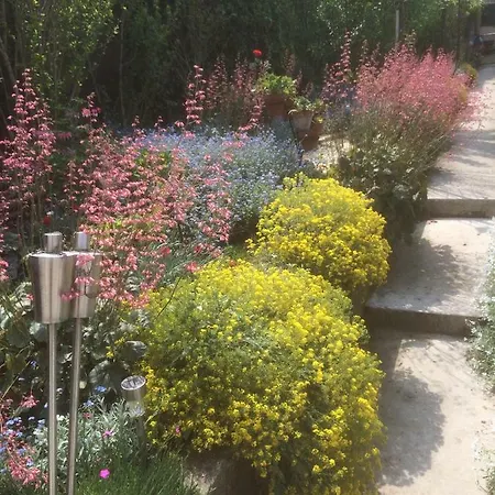 La Petalerie Apartment *