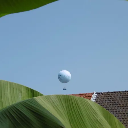 La Petalerie Épernay