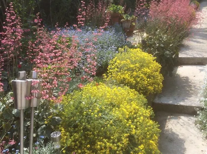 La Petalerie Apartment *