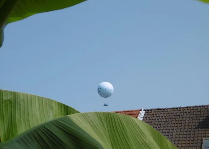 La Petalerie Epernay